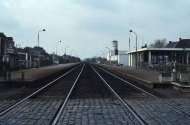 Buggenhout - TH 81-557.jpg